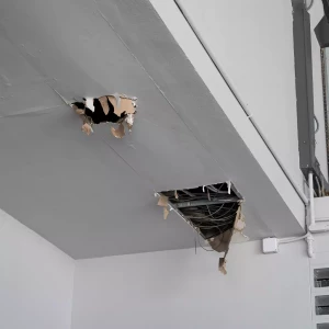 exemple vice caché dans une maison