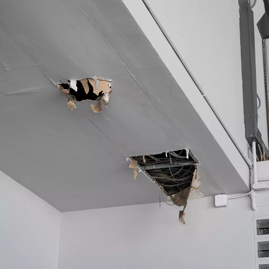 exemple vice caché dans une maison