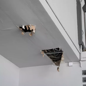 exemple vice caché dans une maison